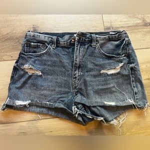 Pistola Denim Shorts